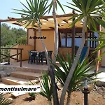 Tramontisulmare * Кустоначи